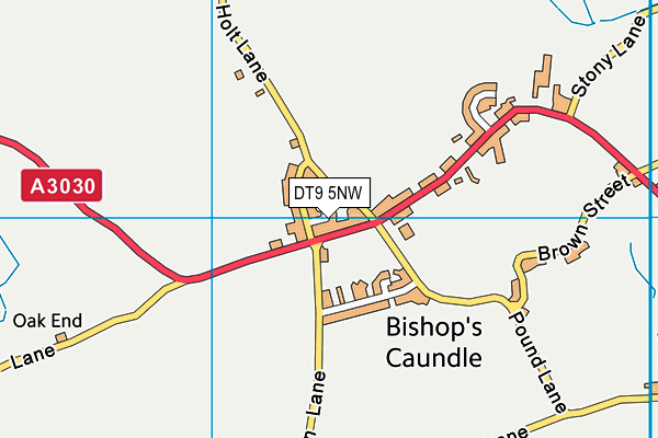 DT9 5NW map - OS VectorMap District (Ordnance Survey)