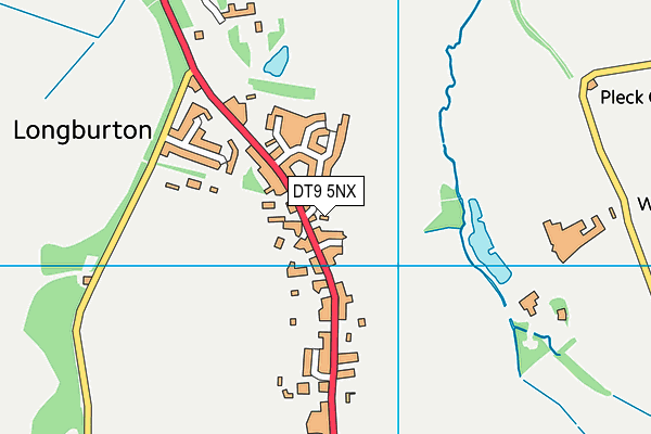 DT9 5NX map - OS VectorMap District (Ordnance Survey) DT9 5NX map - OS VectorMap District (Ordnance Survey)