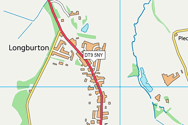 DT9 5NY map - OS VectorMap District (Ordnance Survey) DT9 5NY map - OS VectorMap District (Ordnance Survey)