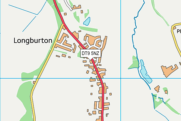 DT9 5NZ map - OS VectorMap District (Ordnance Survey) DT9 5NZ map - OS VectorMap District (Ordnance Survey)