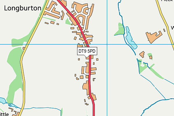 DT9 5PD map - OS VectorMap District (Ordnance Survey) DT9 5PD map - OS VectorMap District (Ordnance Survey)
