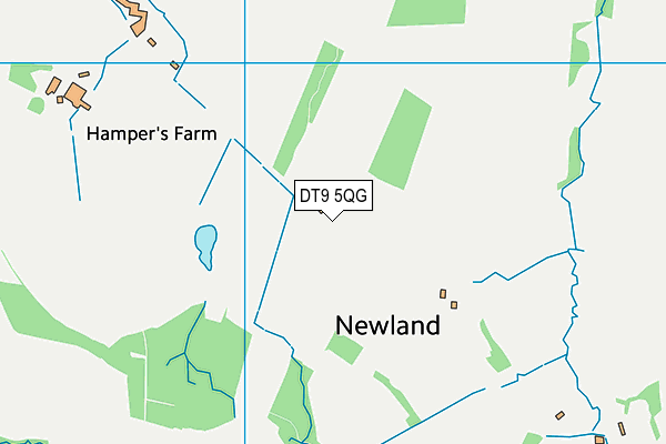 DT9 5QG map - OS VectorMap District (Ordnance Survey) DT9 5QG map - OS VectorMap District (Ordnance Survey)