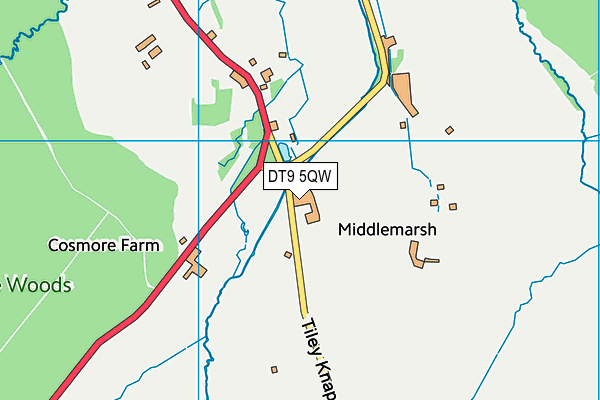 DT9 5QW map - OS VectorMap District (Ordnance Survey) DT9 5QW map - OS VectorMap District (Ordnance Survey)