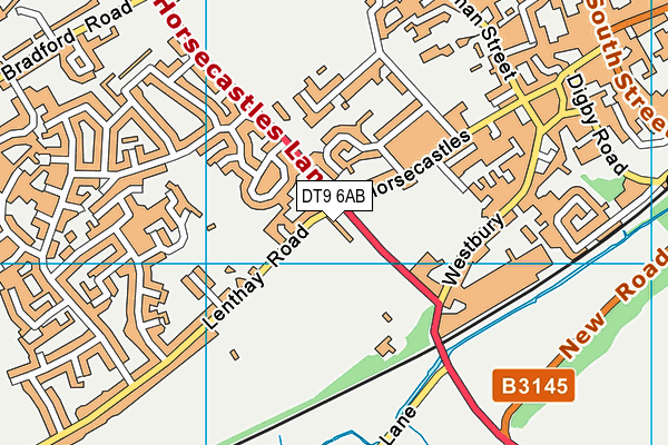 DT9 6AB map - OS VectorMap District (Ordnance Survey) DT9 6AB map - OS VectorMap District (Ordnance Survey)