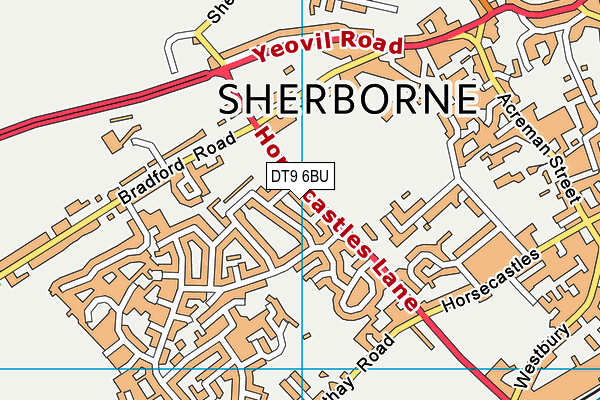 DT9 6BU map - OS VectorMap District (Ordnance Survey)