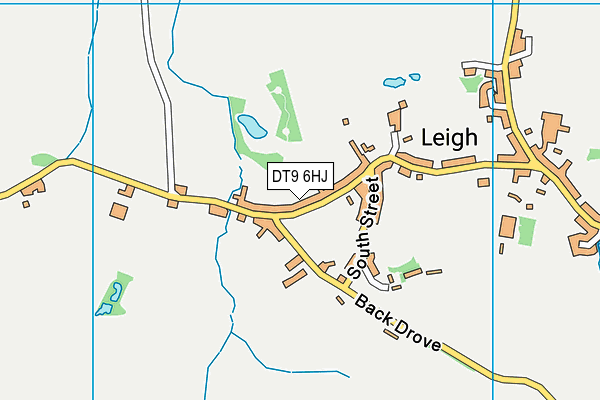 DT9 6HJ map - OS VectorMap District (Ordnance Survey) DT9 6HJ map - OS VectorMap District (Ordnance Survey)