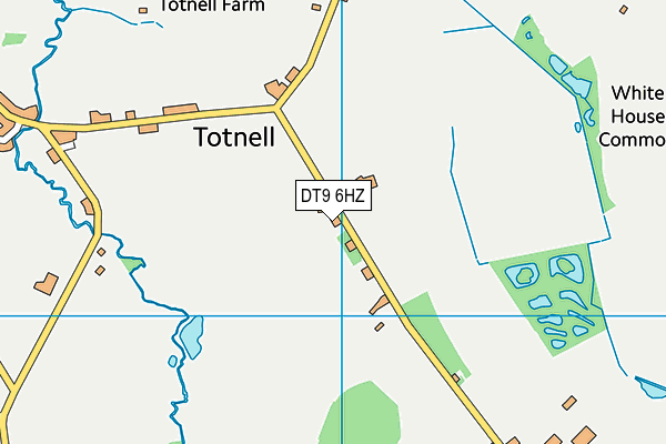 DT9 6HZ map - OS VectorMap District (Ordnance Survey) DT9 6HZ map - OS VectorMap District (Ordnance Survey)