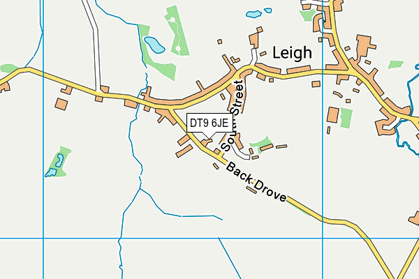 DT9 6JE map - OS VectorMap District (Ordnance Survey) DT9 6JE map - OS VectorMap District (Ordnance Survey)