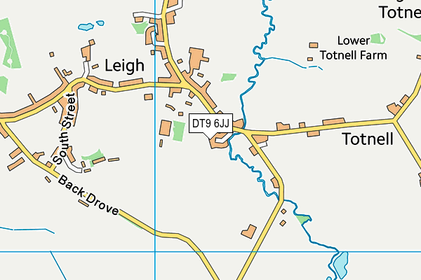 DT9 6JJ map - OS VectorMap District (Ordnance Survey) DT9 6JJ map - OS VectorMap District (Ordnance Survey)