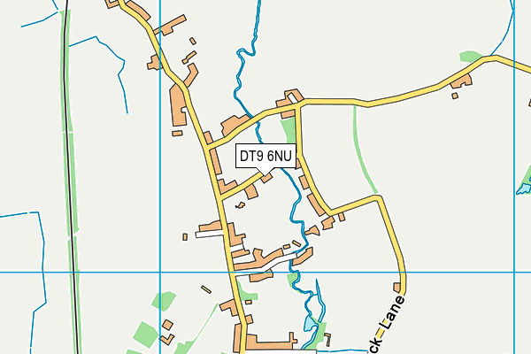 DT9 6NU map - OS VectorMap District (Ordnance Survey) DT9 6NU map - OS VectorMap District (Ordnance Survey)