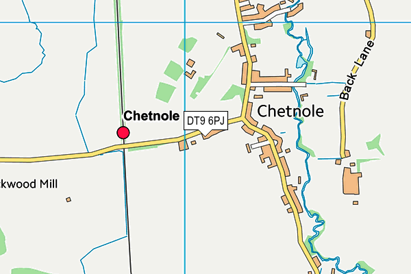 DT9 6PJ map - OS VectorMap District (Ordnance Survey) DT9 6PJ map - OS VectorMap District (Ordnance Survey)