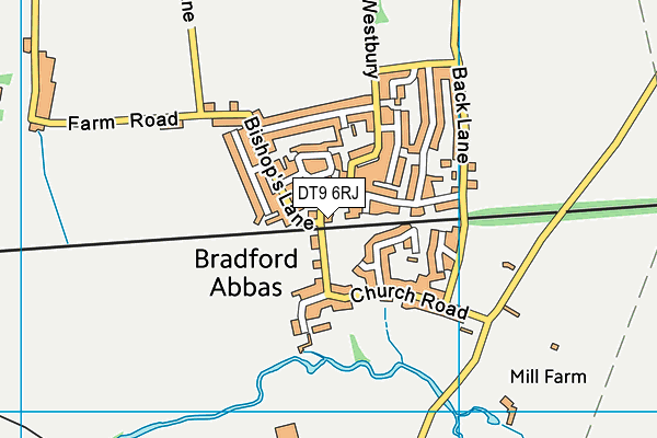 DT9 6RJ map - OS VectorMap District (Ordnance Survey) DT9 6RJ map - OS VectorMap District (Ordnance Survey)