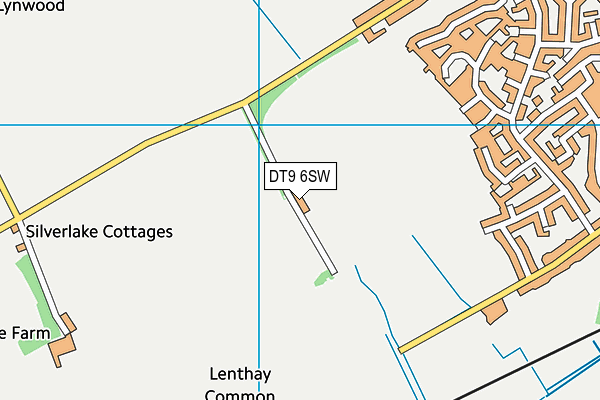 DT9 6SW map - OS VectorMap District (Ordnance Survey) DT9 6SW map - OS VectorMap District (Ordnance Survey)