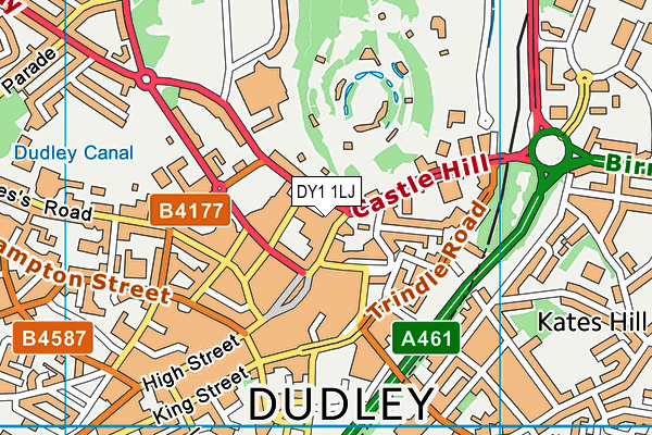 DY1 1LJ map - OS VectorMap District (Ordnance Survey)