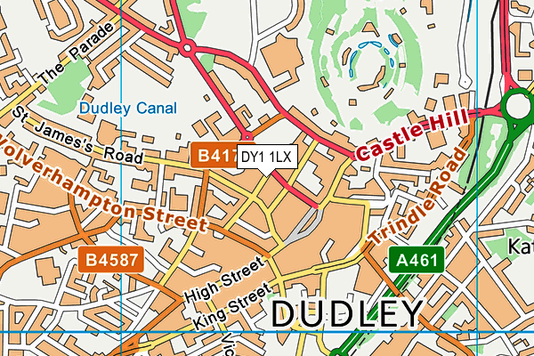 DY1 1LX map - OS VectorMap District (Ordnance Survey) DY1 1LX map - OS VectorMap District (Ordnance Survey)