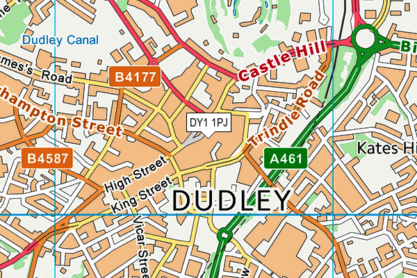 DY1 1PJ map - OS VectorMap District (Ordnance Survey)