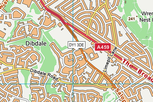 DY1 3DE map - OS VectorMap District (Ordnance Survey) DY1 3DE map - OS VectorMap District (Ordnance Survey)