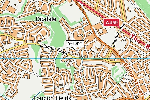 DY1 3DQ map - OS VectorMap District (Ordnance Survey) DY1 3DQ map - OS VectorMap District (Ordnance Survey)