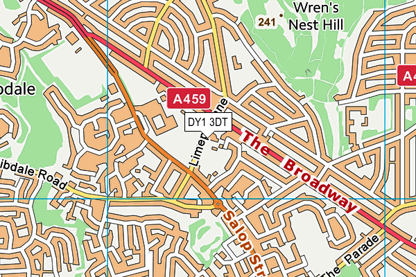 DY1 3DT map - OS VectorMap District (Ordnance Survey) DY1 3DT map - OS VectorMap District (Ordnance Survey)