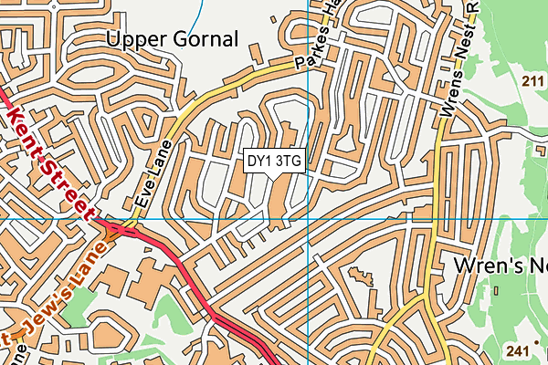 DY1 3TG map - OS VectorMap District (Ordnance Survey)