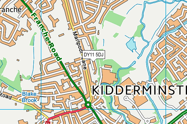 DY11 5DJ map - OS VectorMap District (Ordnance Survey)