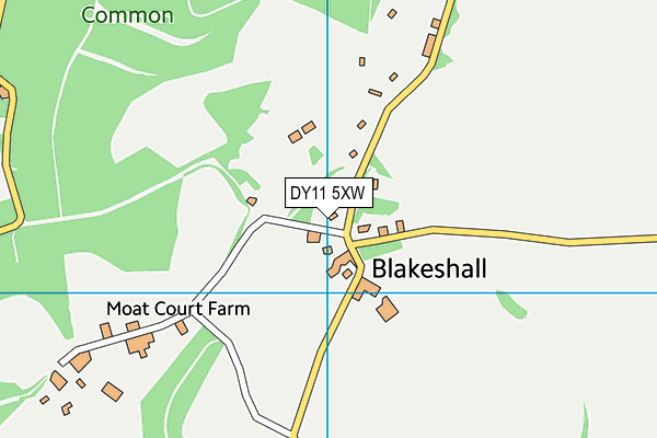 DY11 5XW map - OS VectorMap District (Ordnance Survey)