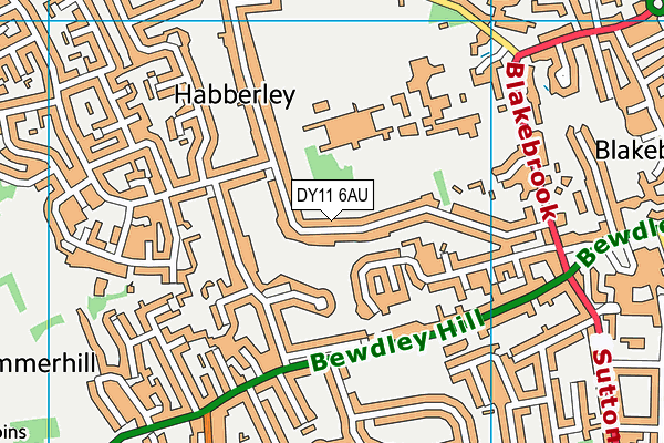 DY11 6AU map - OS VectorMap District (Ordnance Survey)