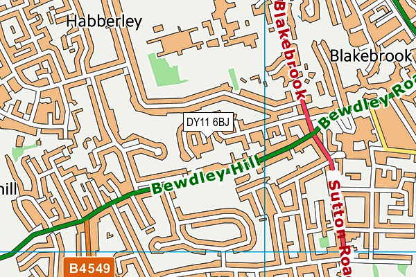DY11 6BJ map - OS VectorMap District (Ordnance Survey)