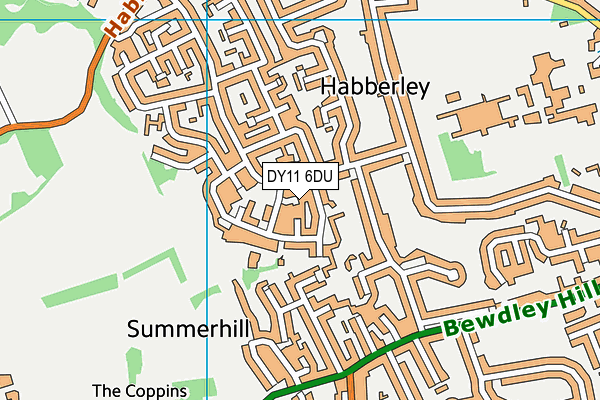 DY11 6DU map - OS VectorMap District (Ordnance Survey)