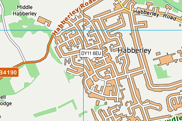 DY11 6EU map - OS VectorMap District (Ordnance Survey) DY11 6EU map - OS VectorMap District (Ordnance Survey)