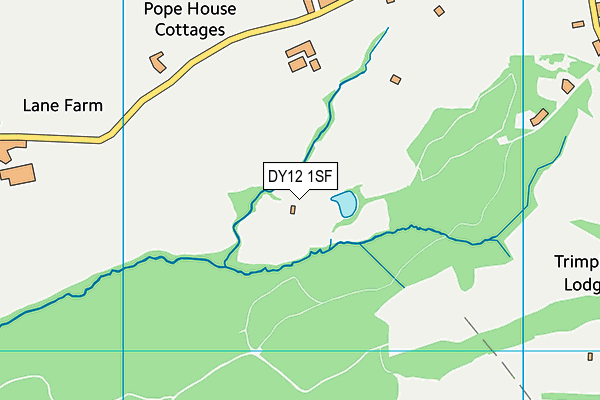 DY12 1SF map - OS VectorMap District (Ordnance Survey) DY12 1SF map - OS VectorMap District (Ordnance Survey)