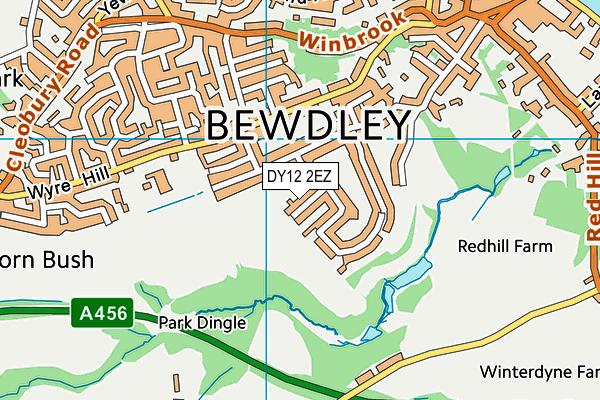 DY12 2EZ map - OS VectorMap District (Ordnance Survey)