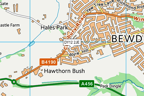DY12 2JE map - OS VectorMap District (Ordnance Survey)