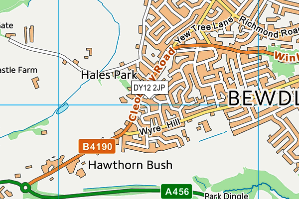 DY12 2JP map - OS VectorMap District (Ordnance Survey) DY12 2JP map - OS VectorMap District (Ordnance Survey)