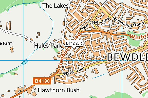 DY12 2JR map - OS VectorMap District (Ordnance Survey) DY12 2JR map - OS VectorMap District (Ordnance Survey)