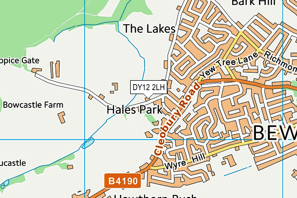 DY12 2LH map - OS VectorMap District (Ordnance Survey) DY12 2LH map - OS VectorMap District (Ordnance Survey)