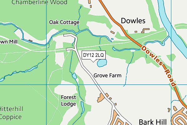 DY12 2LQ map - OS VectorMap District (Ordnance Survey) DY12 2LQ map - OS VectorMap District (Ordnance Survey)