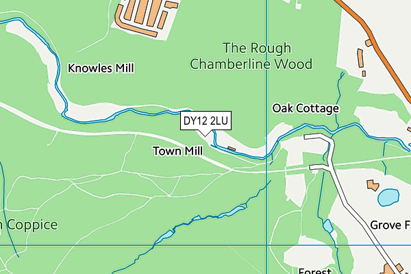 DY12 2LU map - OS VectorMap District (Ordnance Survey) DY12 2LU map - OS VectorMap District (Ordnance Survey)