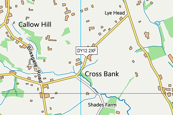 DY12 2XF map - OS VectorMap District (Ordnance Survey) DY12 2XF map - OS VectorMap District (Ordnance Survey)