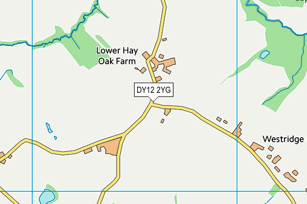 DY12 2YG map - OS VectorMap District (Ordnance Survey) DY12 2YG map - OS VectorMap District (Ordnance Survey)