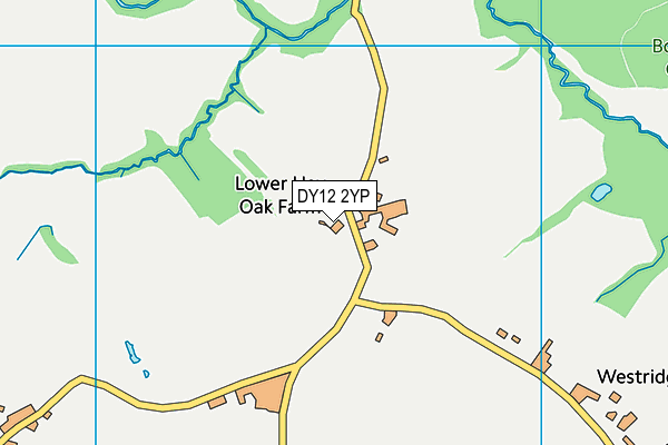 DY12 2YP map - OS VectorMap District (Ordnance Survey) DY12 2YP map - OS VectorMap District (Ordnance Survey)