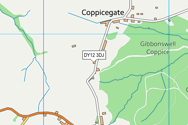 DY12 3DJ map - OS VectorMap District (Ordnance Survey)