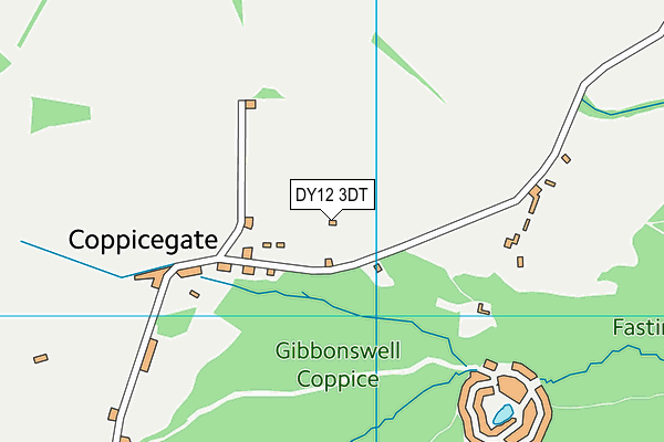 DY12 3DT map - OS VectorMap District (Ordnance Survey) DY12 3DT map - OS VectorMap District (Ordnance Survey)