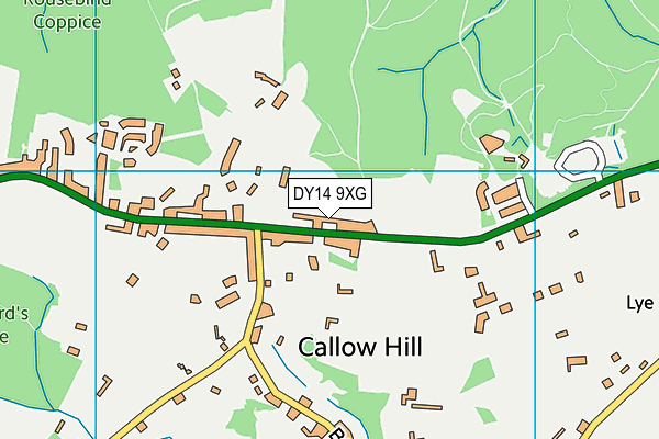DY14 9XG map - OS VectorMap District (Ordnance Survey) DY14 9XG map - OS VectorMap District (Ordnance Survey)