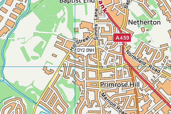 DY2 0NH map - OS VectorMap District (Ordnance Survey) DY2 0NH map - OS VectorMap District (Ordnance Survey)