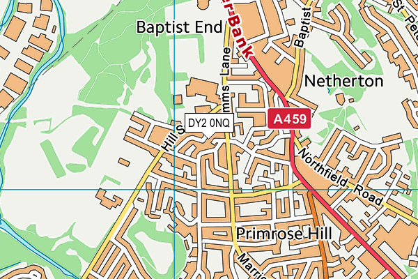 DY2 0NQ map - OS VectorMap District (Ordnance Survey) DY2 0NQ map - OS VectorMap District (Ordnance Survey)