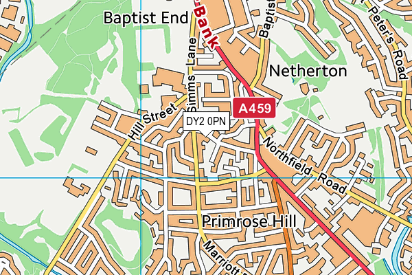 DY2 0PN map - OS VectorMap District (Ordnance Survey) DY2 0PN map - OS VectorMap District (Ordnance Survey)