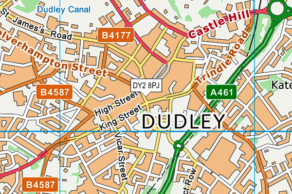DY2 8PJ map - OS VectorMap District (Ordnance Survey) DY2 8PJ map - OS VectorMap District (Ordnance Survey)