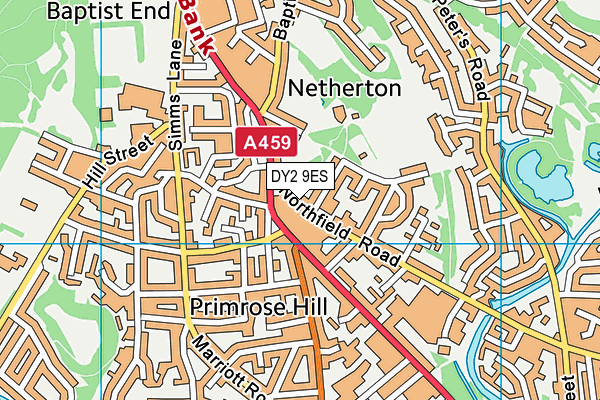 DY2 9ES map - OS VectorMap District (Ordnance Survey) DY2 9ES map - OS VectorMap District (Ordnance Survey)