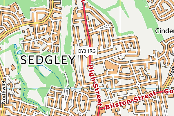 DY3 1RG map - OS VectorMap District (Ordnance Survey)